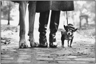 © Elliott Erwitt - USA. New York City. 1974